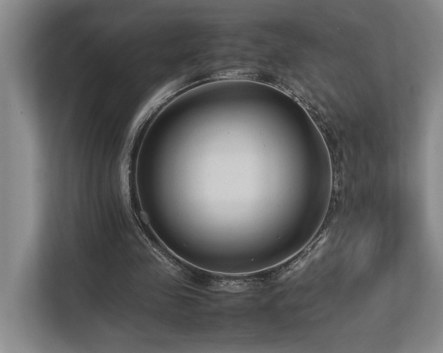 X0000112730341200908201330