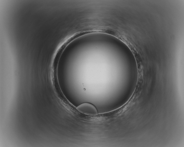 X0000112730342200908201330