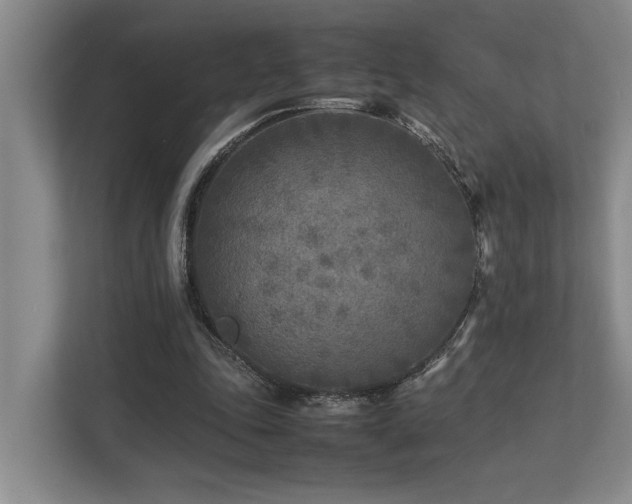 X0000112730343200908201330