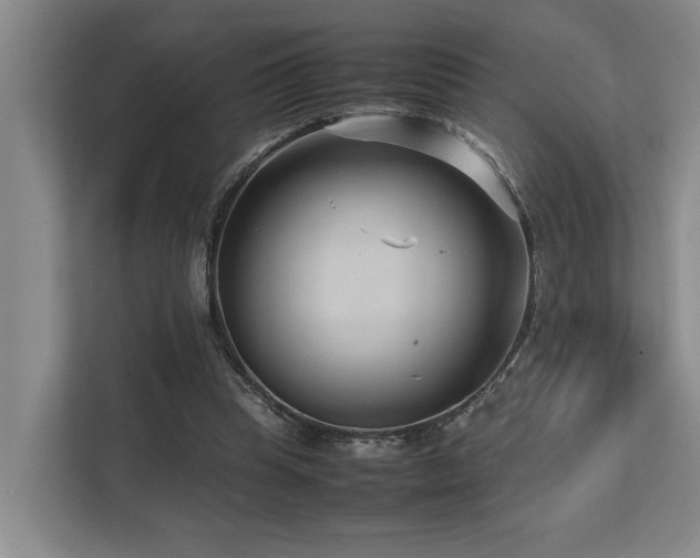 X0000112730345200908201331