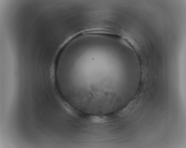 X0000112730346200908201331