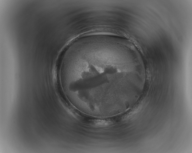 X0000112730347200908201331