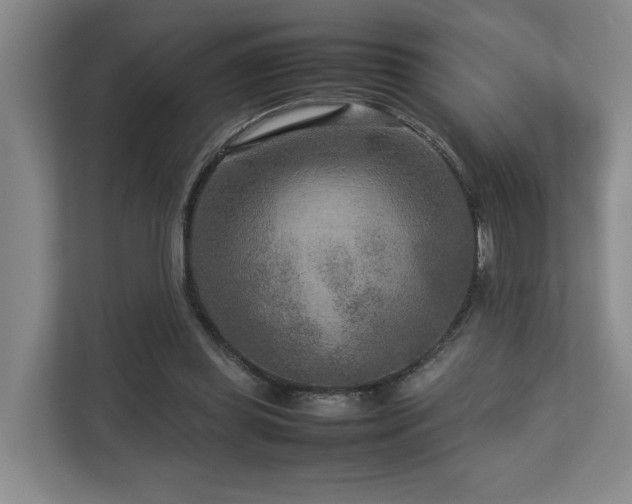 X0000112730349200908201331