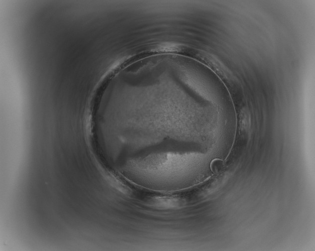 X0000112730351200908201331