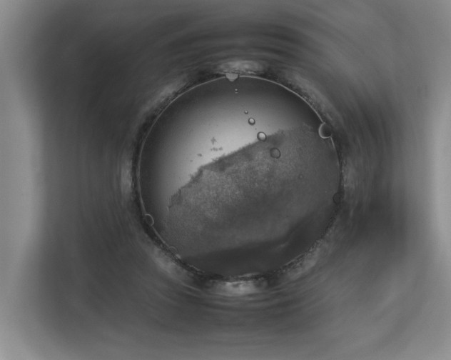 X0000112730353200908201331