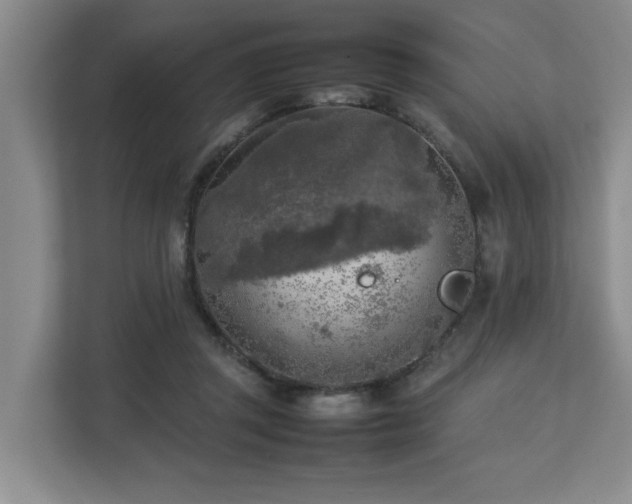 X0000112730357200908201331