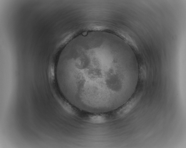 X0000112730358200908201331