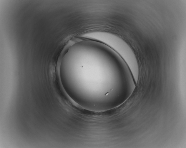 X0000112730360200908201331