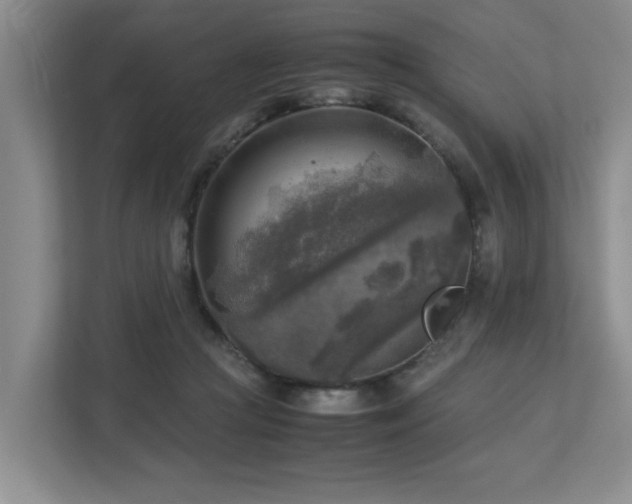 X0000112730361200908201331