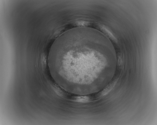 X0000112730363200908201331