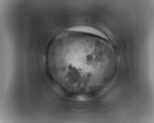 X0000112730365200908201331