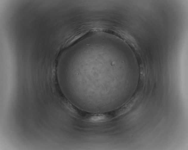 X0000112730369200908201331