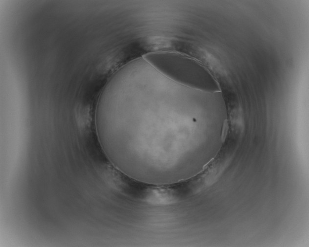 X0000112730372200908201331