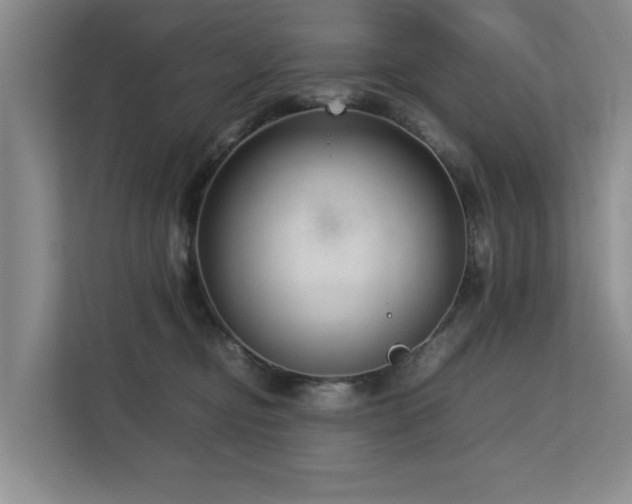 X0000112730374200908201331