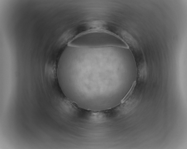 X0000112730376200908201331