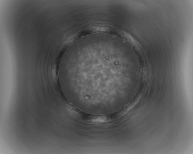 X0000112730377200908201331