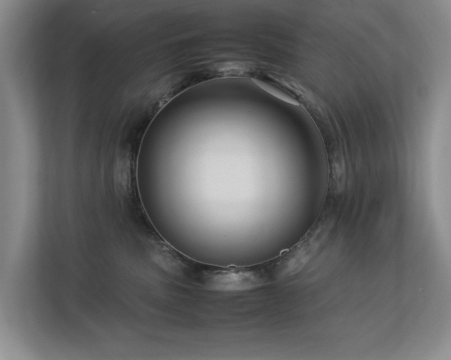 X0000112730379200908201331