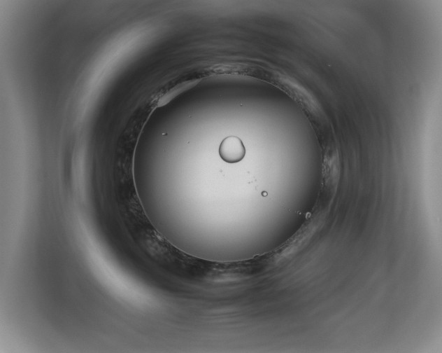 X0000112730381200908201331