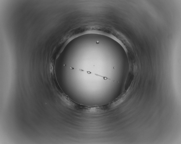 X0000112730382200908201331