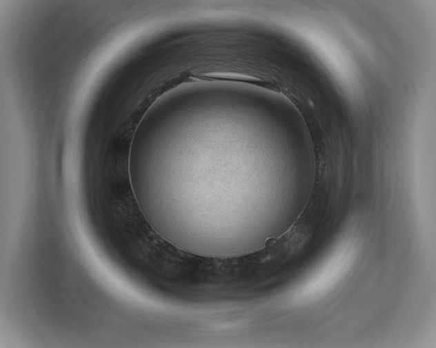 X0000112730383200908201331