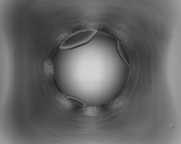 X0000112730384200908201331