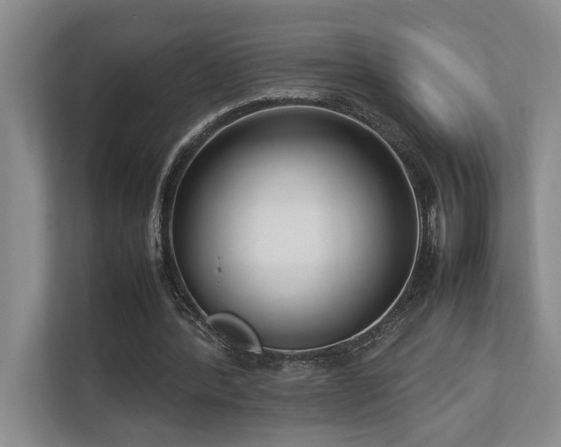 X0000112730388200908201330