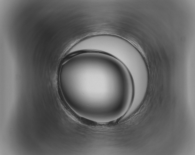 X0000112730389200908201330