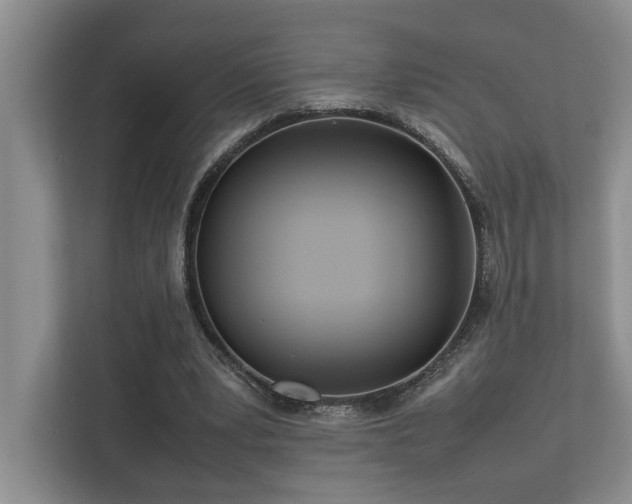 X0000112730391200908201330