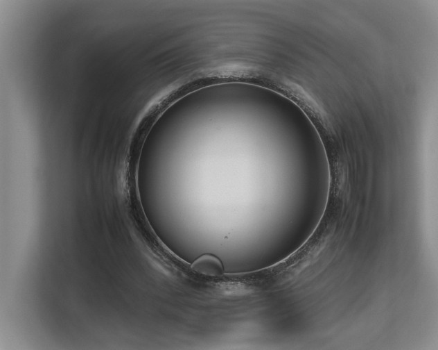 X0000112730392200908201330