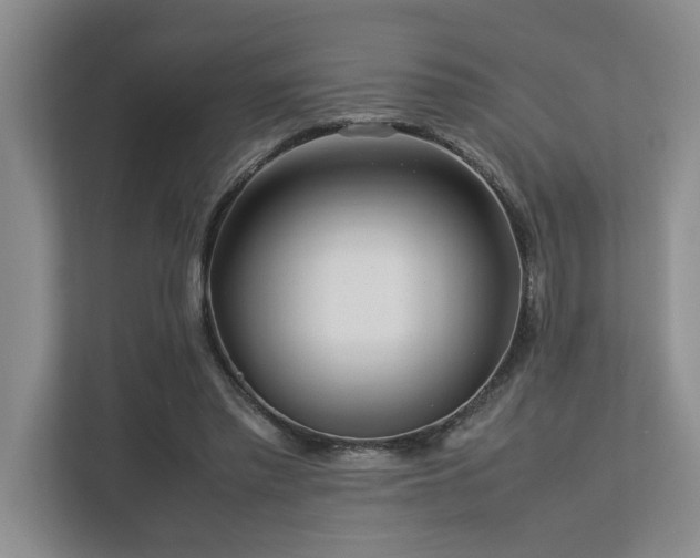 X0000112730397200908201330