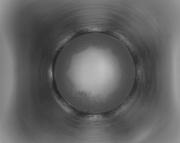 X0000112730398200908201330