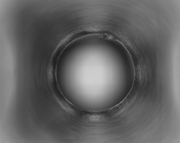 X0000112730400200908201330