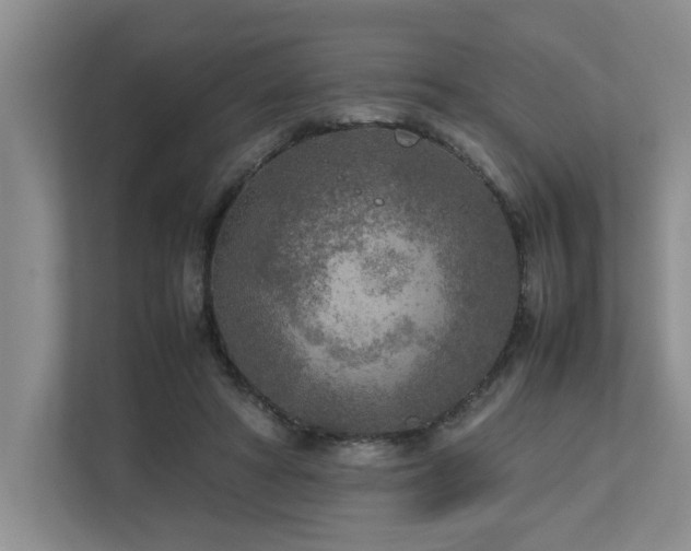 X0000112730402200908201330