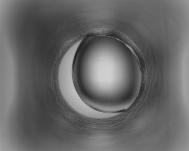 X0000112730403200908201330