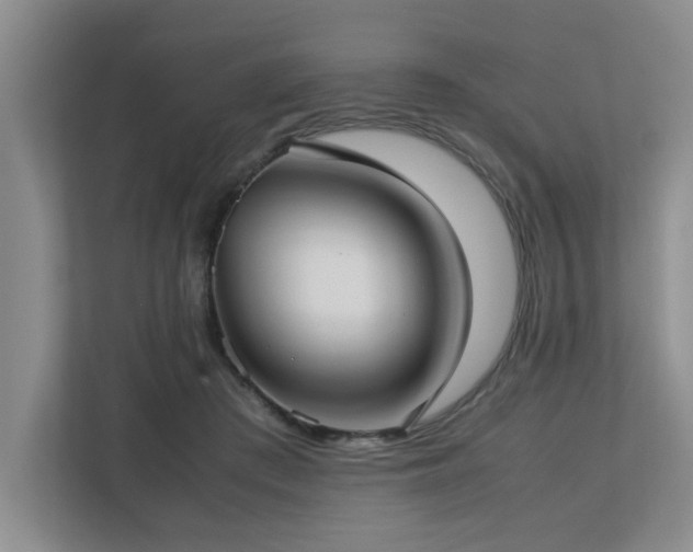 X0000112730409200908201330