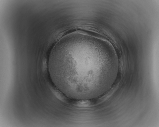 X0000112730410200908201330