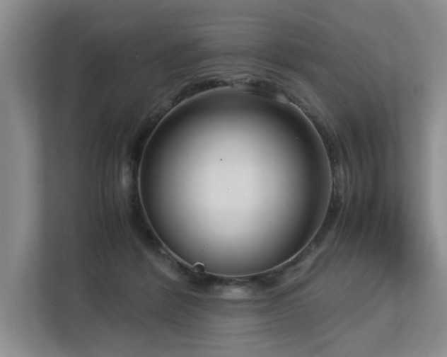 X0000112730412200908201330