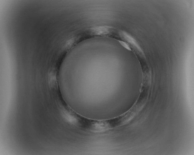 X0000112730415200908201330