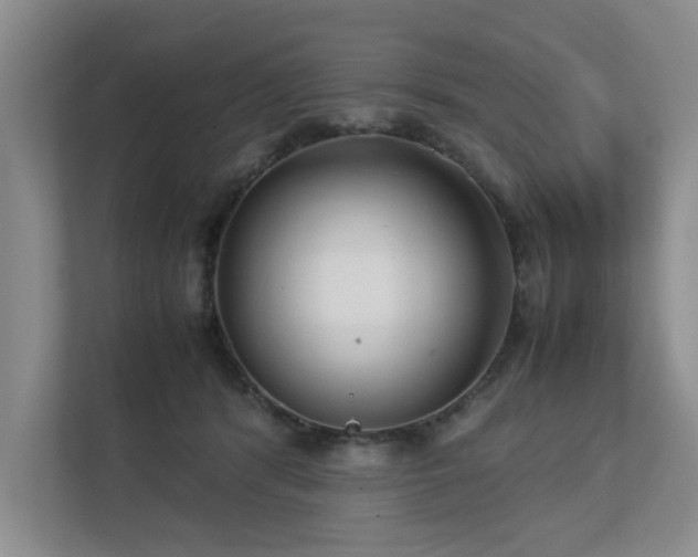 X0000112730416200908201330