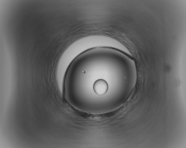 X0000112730419200908201330