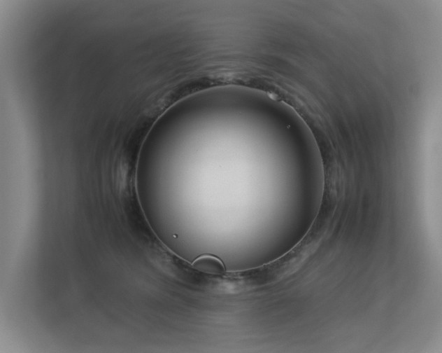 X0000112730420200908201330