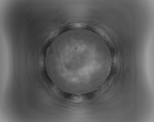 X0000112730423200908201330