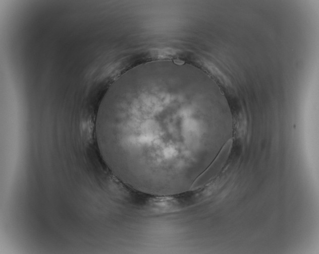 X0000112730427200908201330