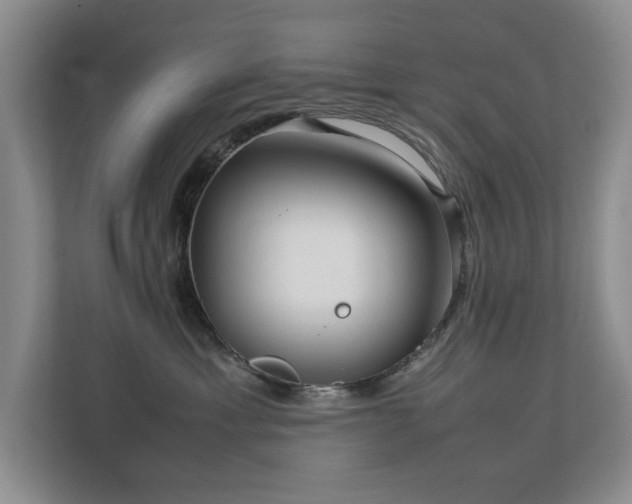 X0000112730429200908201330