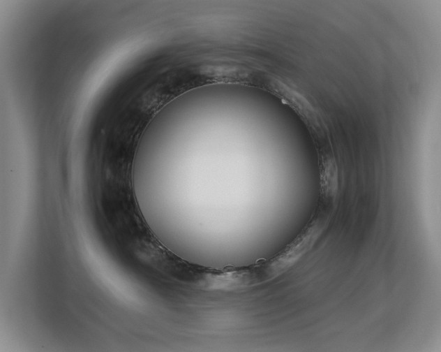 X0000112730430200908201330