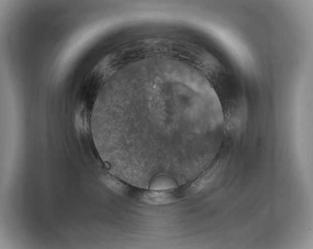 X0000112730431200908201330