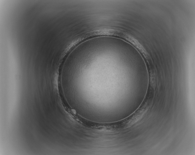 X0000112730434200908201329