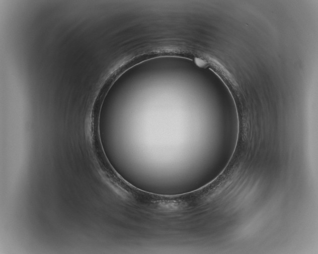 X0000112730439200908201329