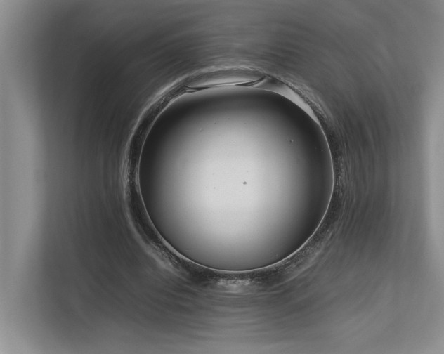 X0000112730440200908201329