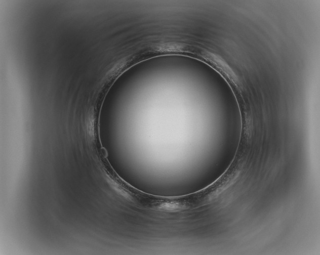 X0000112730441200908201329